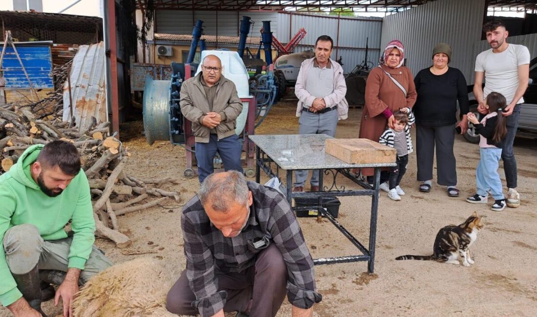  Sonbahar ve kış mevsiminin kurak geçtiği Aydın'ın Didim ilçesinde çiftçiler,