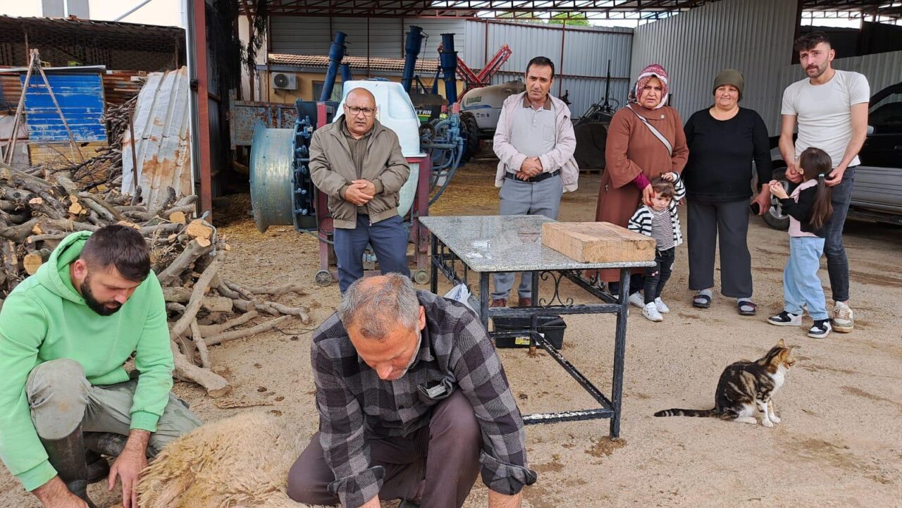  Sonbahar ve kış mevsiminin kurak geçtiği Aydın'ın Didim ilçesinde çiftçiler,