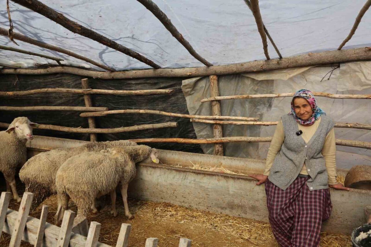 Eskişehir Büyükşehir Belediyesi, kırsal kalkınmayı desteklemek amacıyla küçük üreticilere verdiği