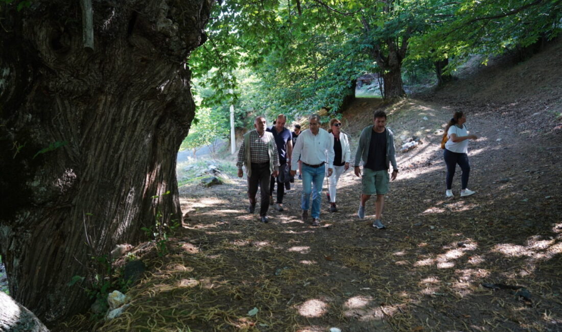İzmir'de doğa ve kültürü bir arada bulunduran yürüyüş rotası Efeler
