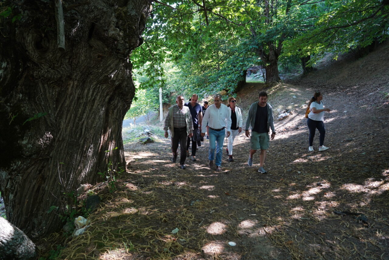 İzmir'de doğa ve kültürü bir arada bulunduran yürüyüş rotası Efeler