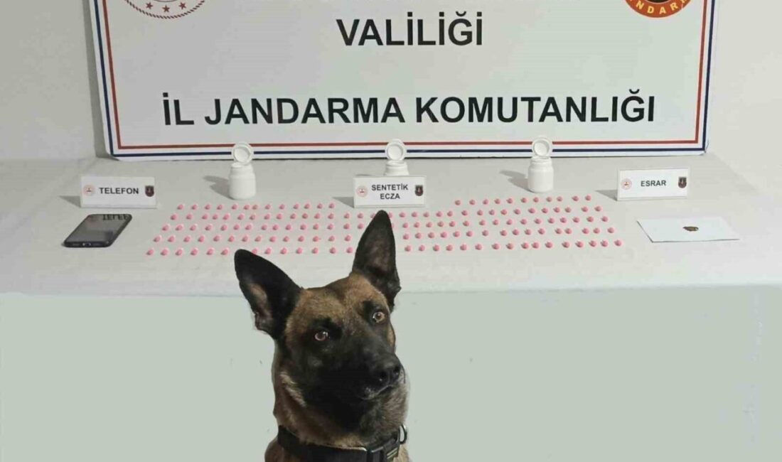 Jandarma uyuşturucu satıcısını yaptığı takiple yakaladı Afyonkarahisar’da aldığı bir ihbarı değerlendiren jandarma ekipleri uyuşturucu satmaya giden