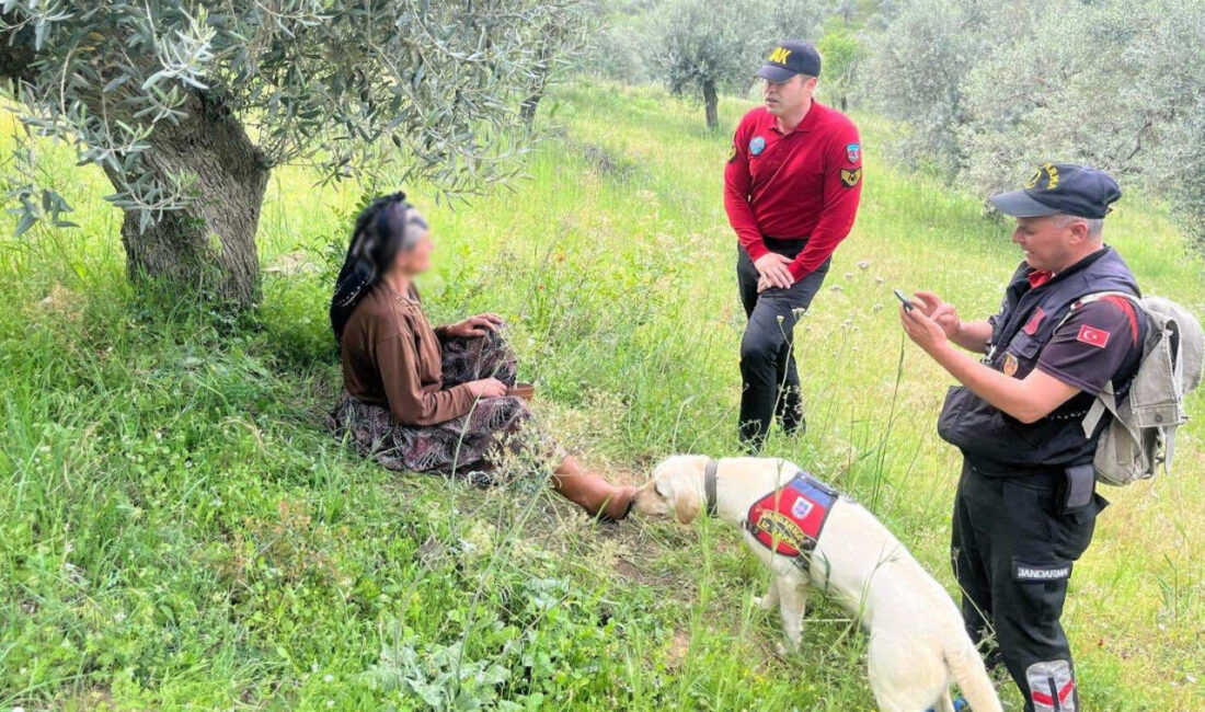 Aydın'ın Efeler ilçesinde evden ayrıldıktan sonra haber alınamayan kadın bir