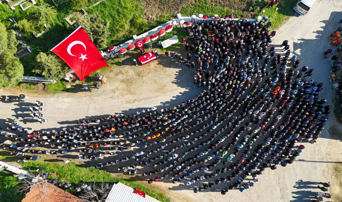 Şırnak'ın Cizre ilçesinde kazaya müdahale ederken başka bir aracın çarpmasıyla