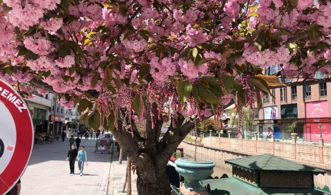 Eskişehir’de Porsuk Çayı kenarındaki süs erik ağacına martenitsa bağlanarak bahar