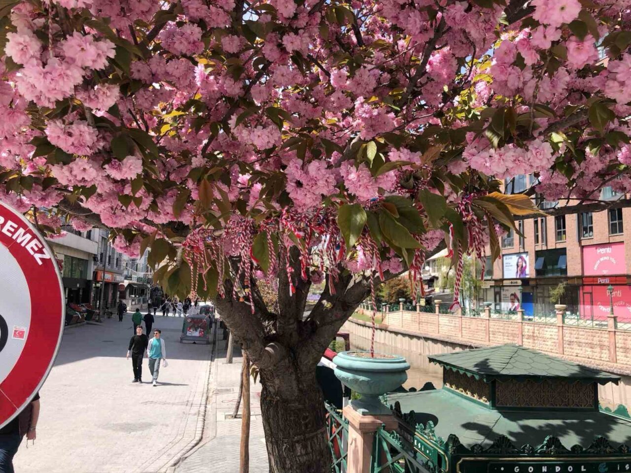 Eskişehir’de Porsuk Çayı kenarındaki süs erik ağacına martenitsa bağlanarak bahar