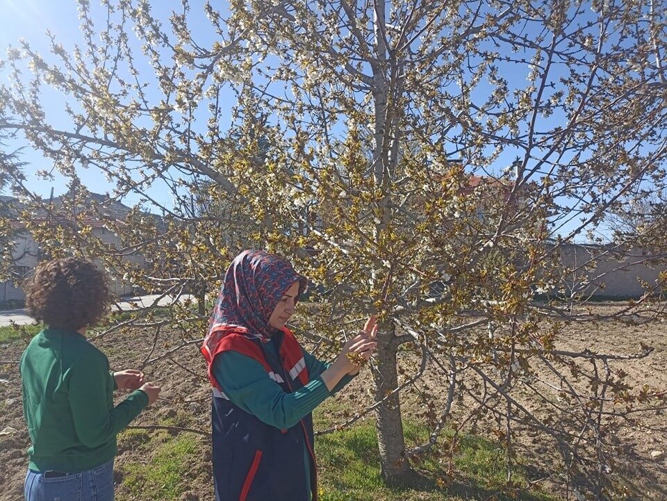 Afyonkarahisar’da etkili olan zirai don, tarım arazilerinde ciddi zarara yol