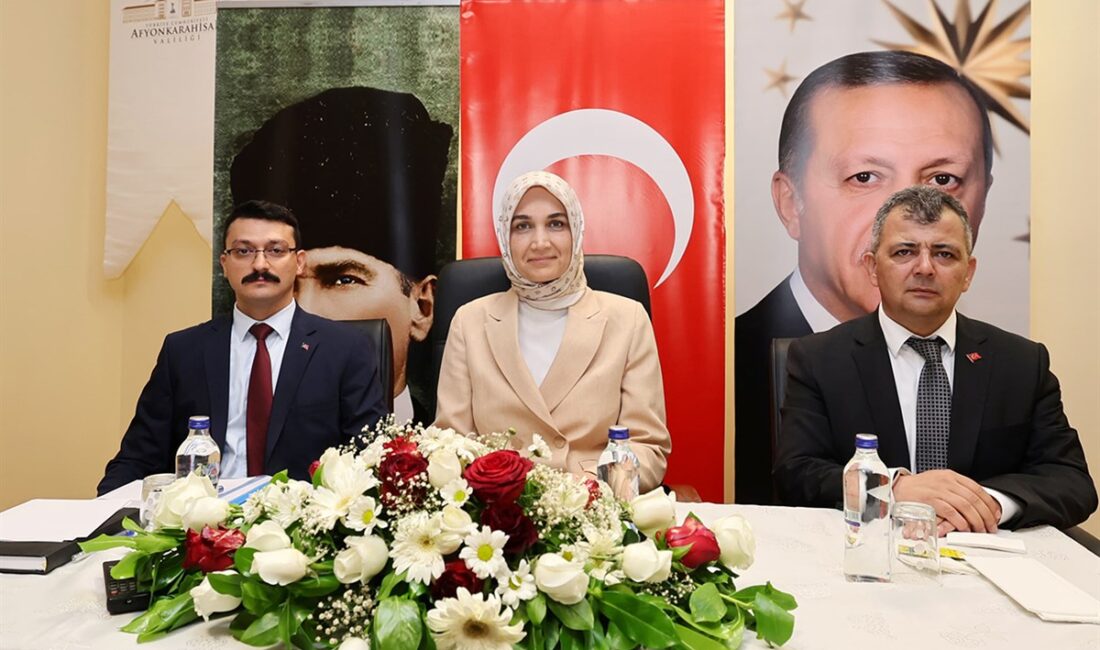 Vali Doç. Dr. Kübra Güran Yiğitbaşı, Emirdağ ilçesine bağlı merkez