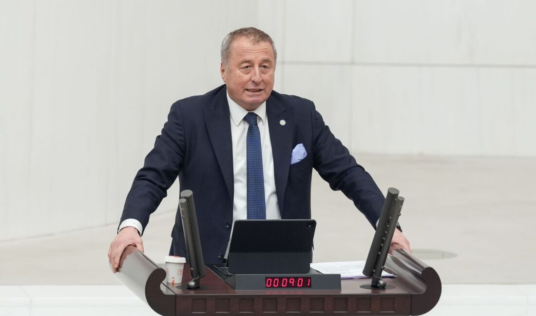 İYİ Parti Genel Başkan Yardımcısı ve Afyonkarahisar Milletvekili Hakan Şeref