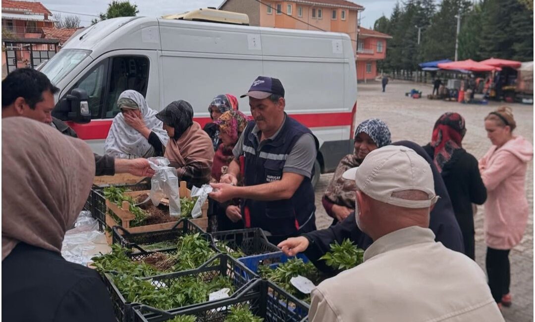 Kütahya’nın Kuruçay beldesinde üreticilere 20 bin adet biber fidesi dağıtıldı.