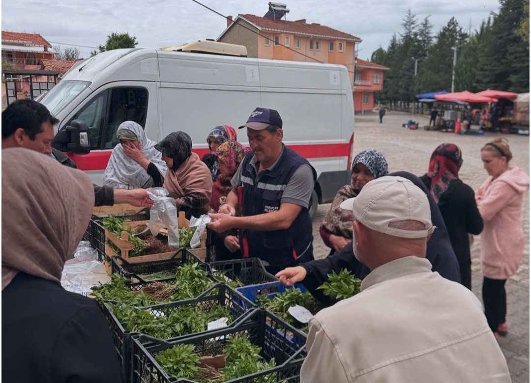 Kütahya’nın Kuruçay beldesinde üreticilere 20 bin adet biber fidesi dağıtıldı.