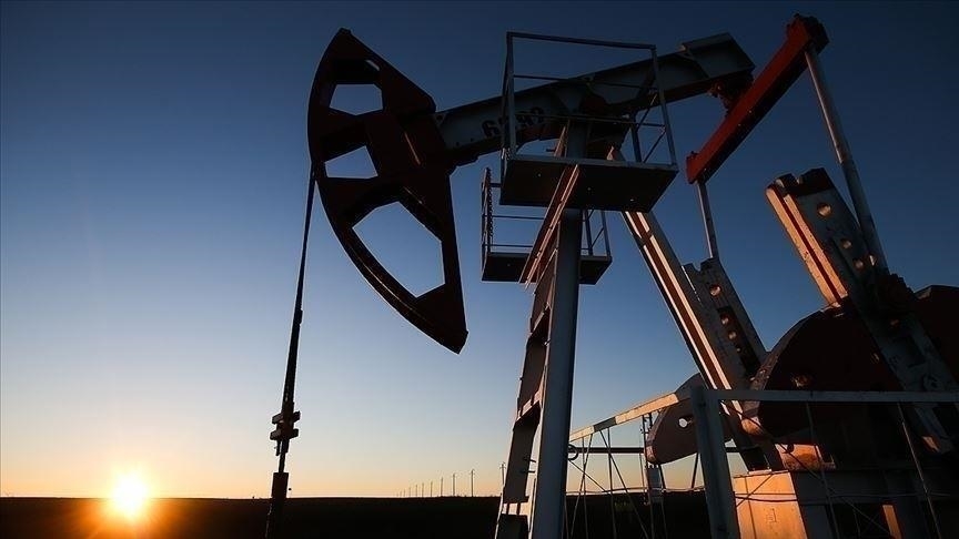 Türkiye'nin toplam petrol ve petrol ürünleri ithalatı, Şubat’ta geçen yılın