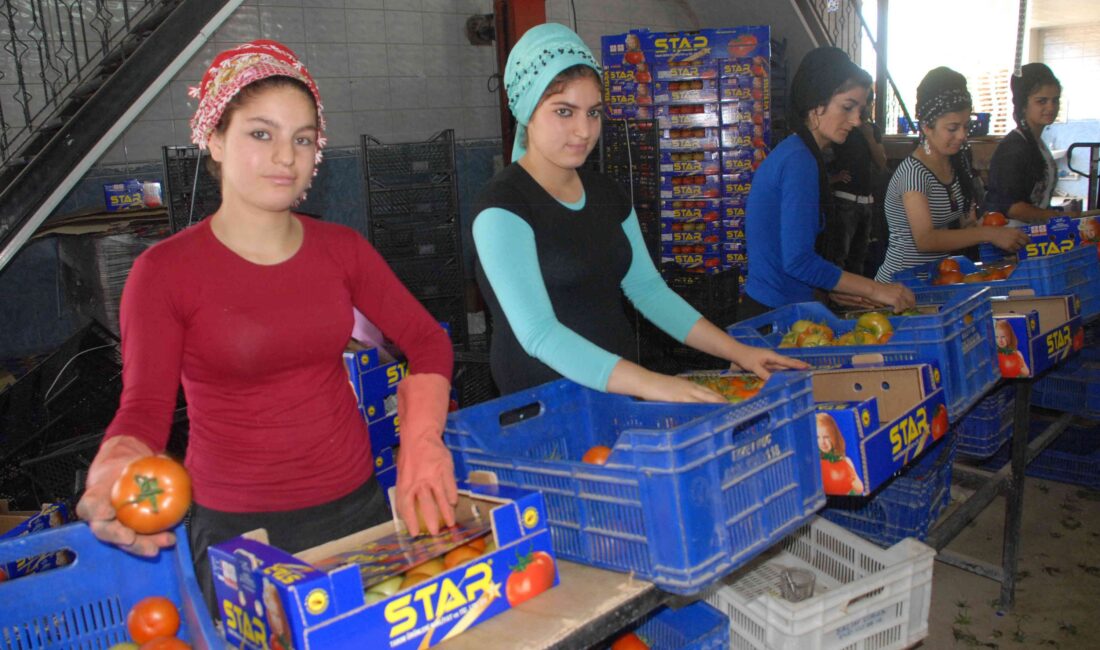 Su ürünleri, narenciye ve madencilik sektöründe Ege Bölgesinde önemli bir