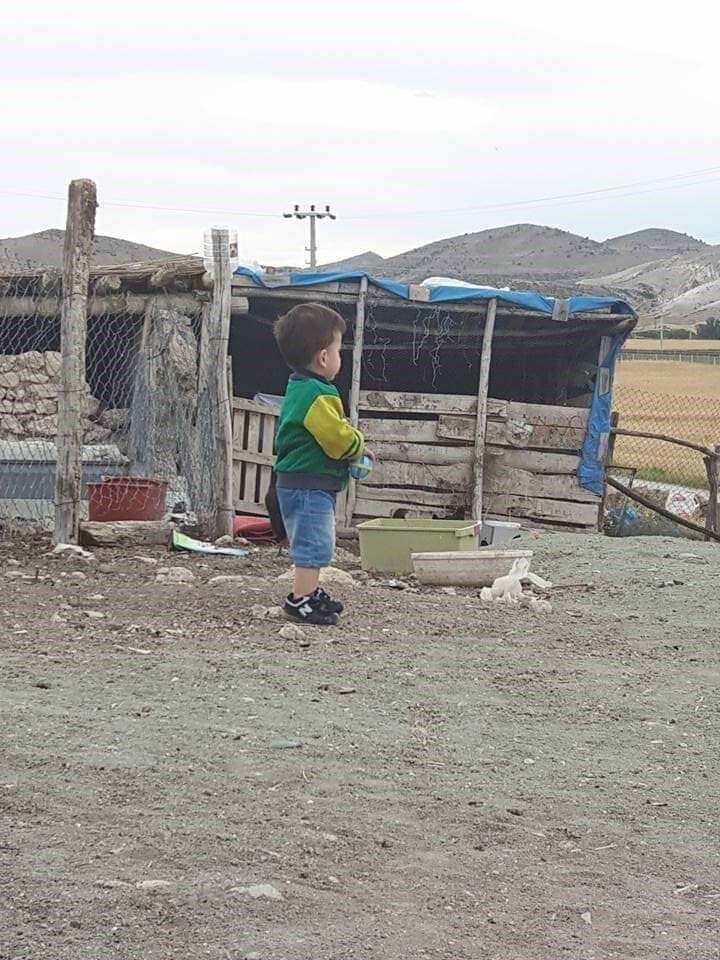 Eskişehir’de 6 yıl önce sinek ısırığı sonucu Batı Nil Virüsü