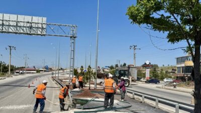 Dazkırı’da ilçe girişini kapsayan karayolu peyzaj düzenlemesi tüm hızıyla devam