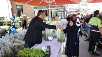 Sandıklı Belediyesi’nin iştiraklerinden SANJET A.Ş. bünyesindeki Sanjet Çiçekçilik tarafından ata