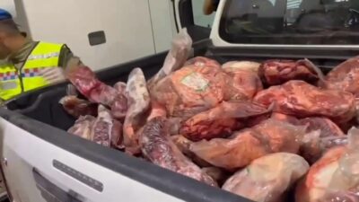 Şanlıurfa’nın Viranşehir ilçesinde jandarma ekipleri tarafından düzenlenen şok yol aramasında,