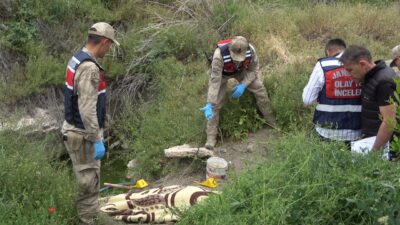 Kilis'in Musabeyli ilçesinin çınar köyünde epilepsi hastası olduğu belirtilen 51
