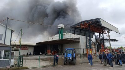 Sakarya'nın Karasu ilçesindeki fındık kırım fabrikasında yangın çıktı. Çok sayıda