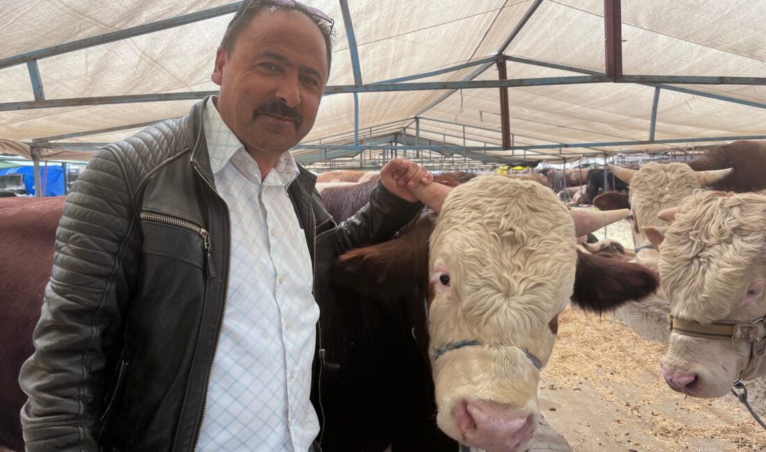 Kurban Bayramı’na 3 hafta kala İzmir’in Buca ilçesindeki Kaynaklar kurban