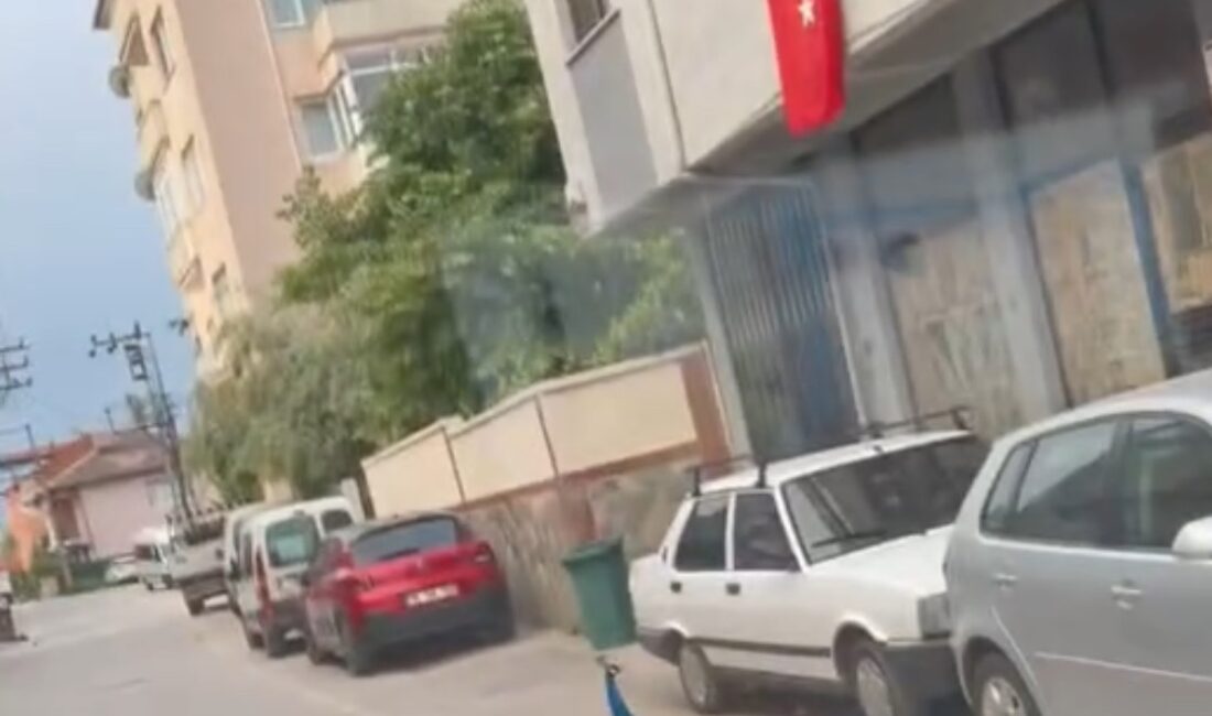 Yolda karşısına çıkan tavus kuşunu gören sürücü neye uğradığını şaşırdı