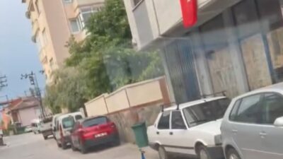 Yolda karşısına çıkan tavus kuşunu gören sürücü neye uğradığını şaşırdı