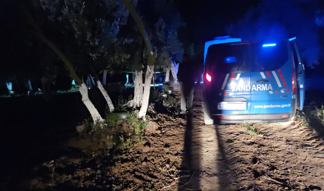 Bursa'nın Orhangazi ilçesinde çiftlik evinde balta ile öldürülmüş halde erkek şahıs
