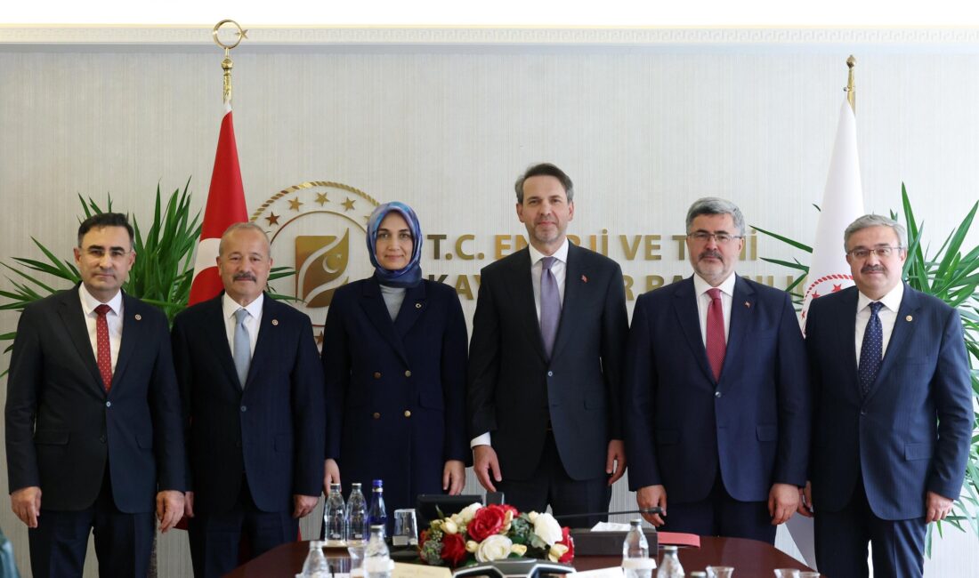 Afyonkarahisar Valisi Doç. Dr. Kübra Güran Yiğitbaşı, Enerji ve Tabii