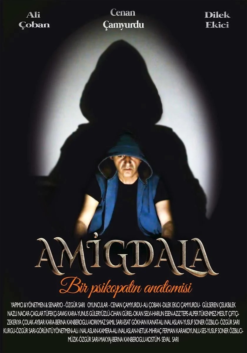 Bu hafta 5'i yerli 11 film vizyona girdi.
