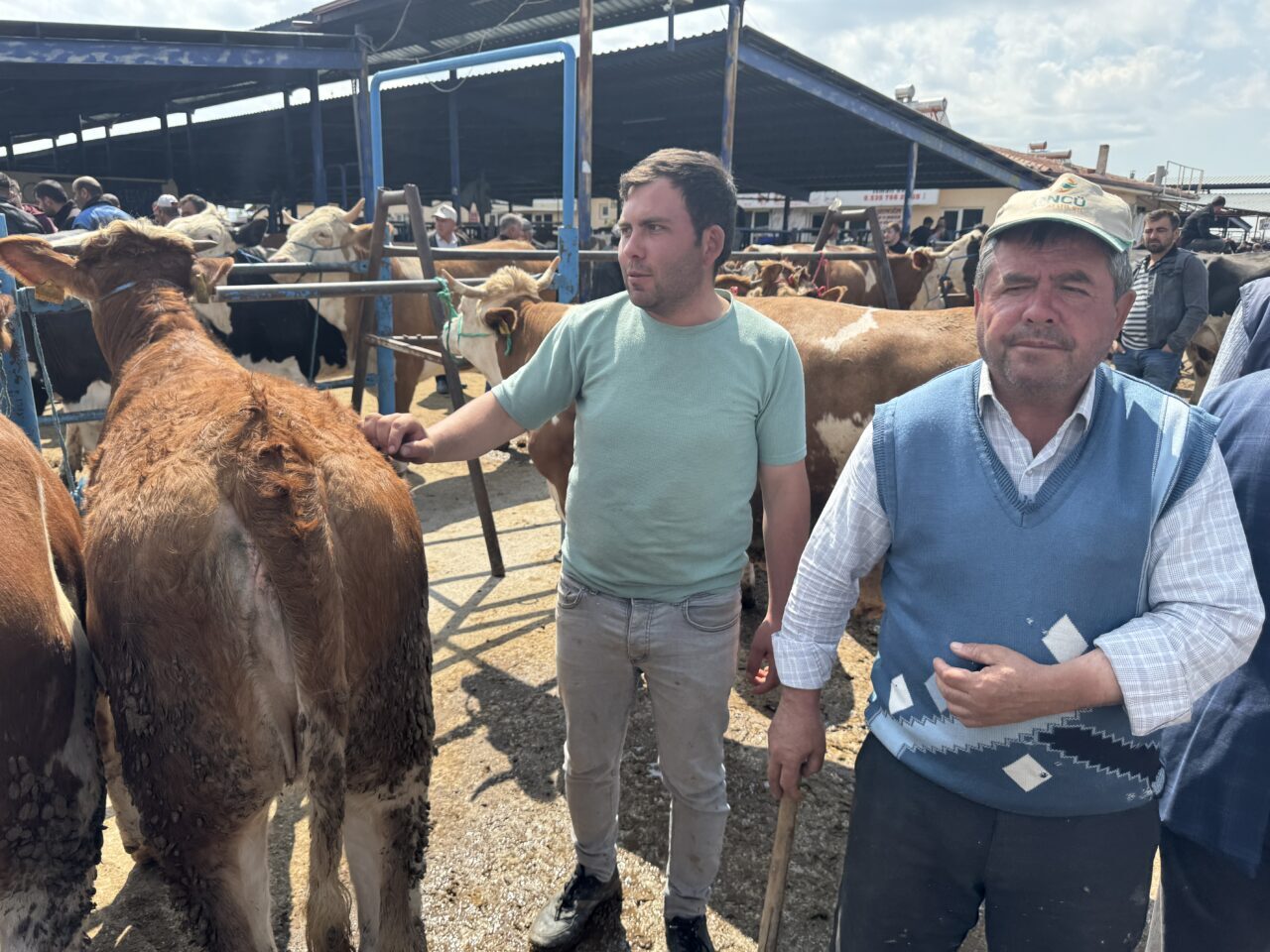 AFYONKARAHİSAR (AA) – Afyonkarahisar'da yaklaşan Kurban Bayramı dolayısıyla hayvan pazarında