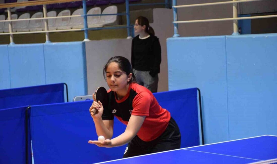 Masa Tenisi Büyükler İl Birinciliği müsabakaları, Çiğiltepe Spor Salonu’nda tamamlanırken