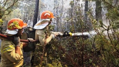 Kütahya’nın Emet ilçesi Düşecek köyü yakınlarındaki ormanlık alanda çıkan yangın