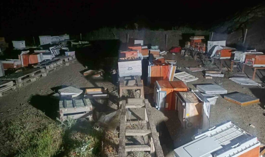 Bilecik’te bir kulübede başlayan yangın arı kovanlarına sıçrarken 35 kovandaki