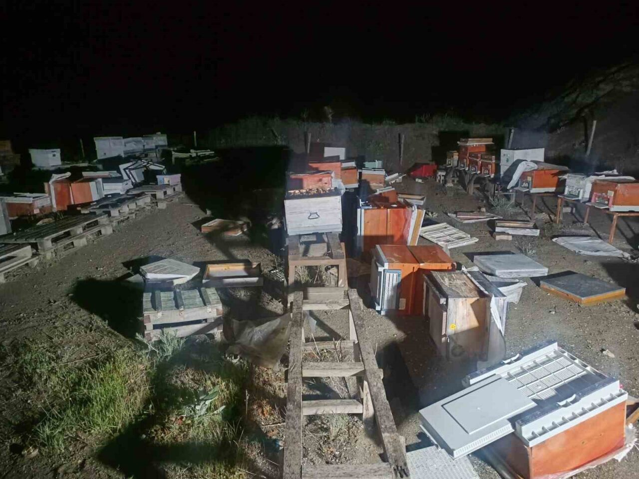 Bilecik’te bir kulübede başlayan yangın arı kovanlarına sıçrarken 35 kovandaki