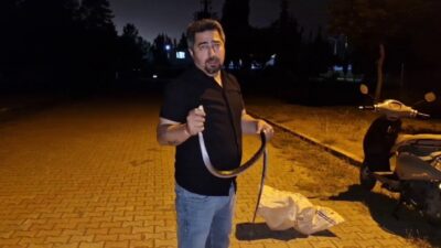 Hatay’da bir evdeki çamaşır makinesine giren karayılan, ‘Yılancı Kemal’ tarafından