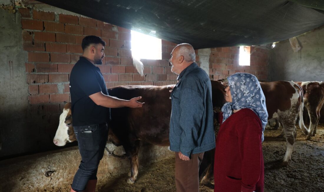 Elazığ’da bir besi çiftliğine kurbanlık almak için eşiyle birlikte gelen