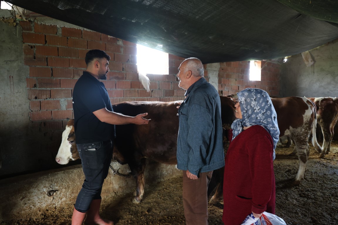 Elazığ’da bir besi çiftliğine kurbanlık almak için eşiyle birlikte gelen