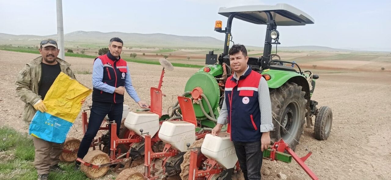 Afyonkarahisar Tarım ve Orman İl Müdürlüğü, Bitkisel Üretim ve Bitki