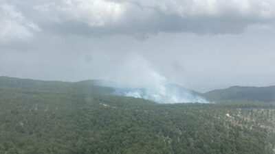 Aydın'ın Bozdoğan ilçesinde çıkan orman yangını, havadan ve karadan müdahaleyle