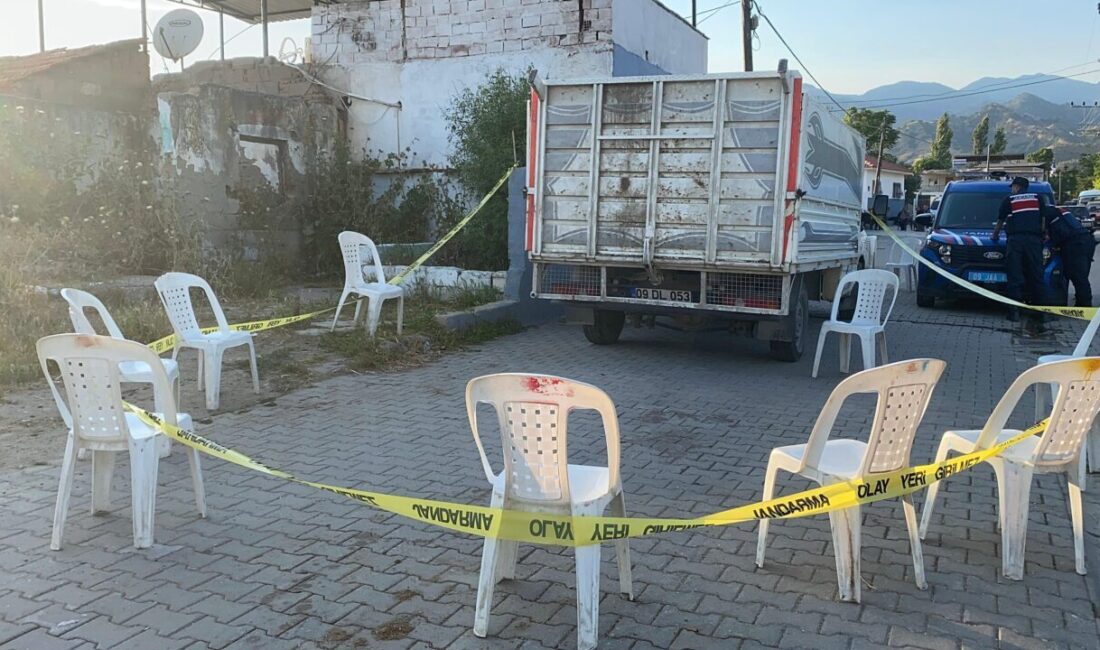 Aydın’ın Efeler ilçesinde, park halindeki kamyonetin kasasından düşen 4 yaşındaki