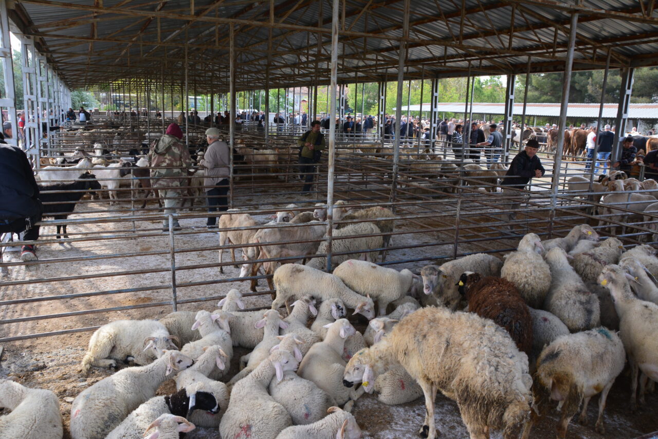 Uşak’ın Banaz ilçesinde cumartesi günleri kurulan ve bulaşıcı hastalık sebebiyle