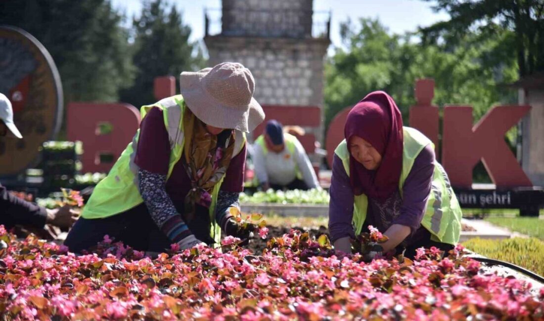 Bilecik Belediyesi Park ve Bahçeler Müdürlüğü çalışanı kadınlar, birçok noktada