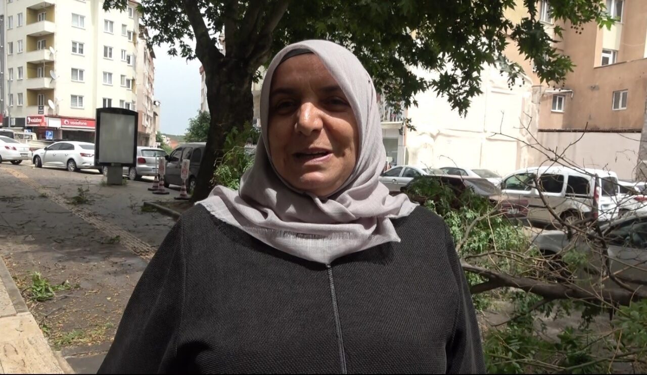 Bilecik’te kısa süreli süren fırtına çatıları uçururken, ağaçları dallarından kopardı.