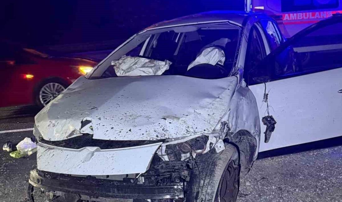 Bilecik’te seyir halinde kontrolden çıkan otomobilin bariyerlere çarpması sonucu meydana