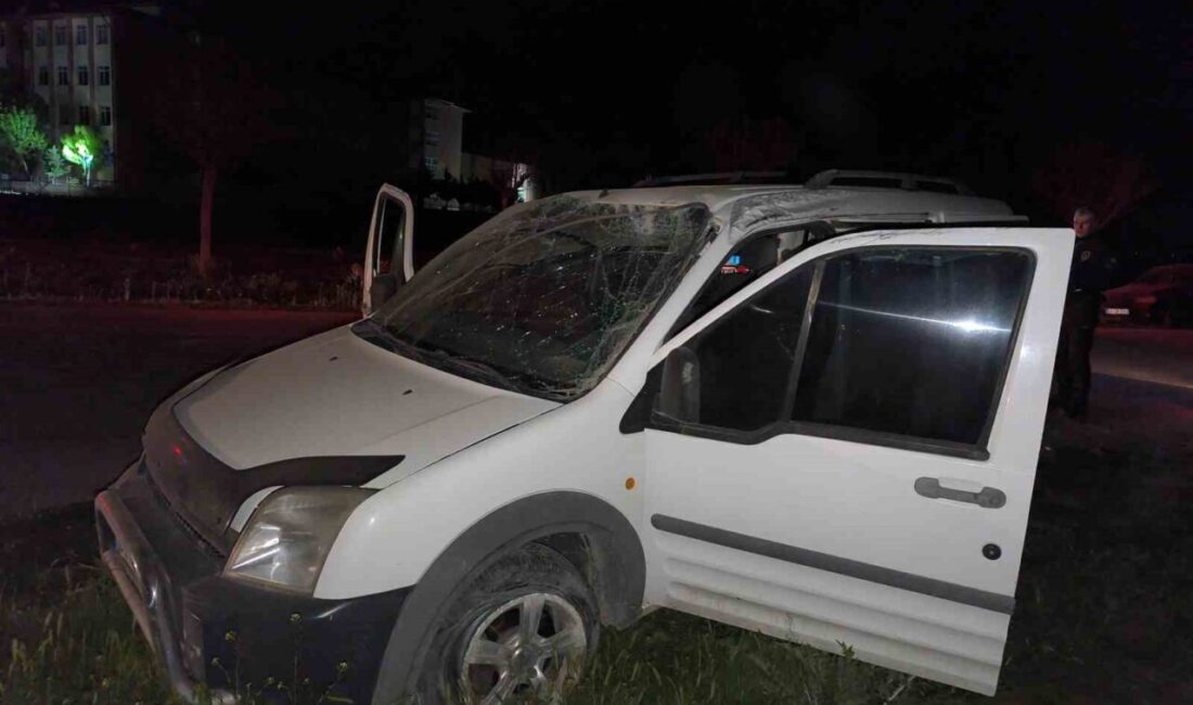 Afyonkarahisar’ın Şuhut ilçesinde meydana gelen trafik kazasında, kontrolden çıkan hafif