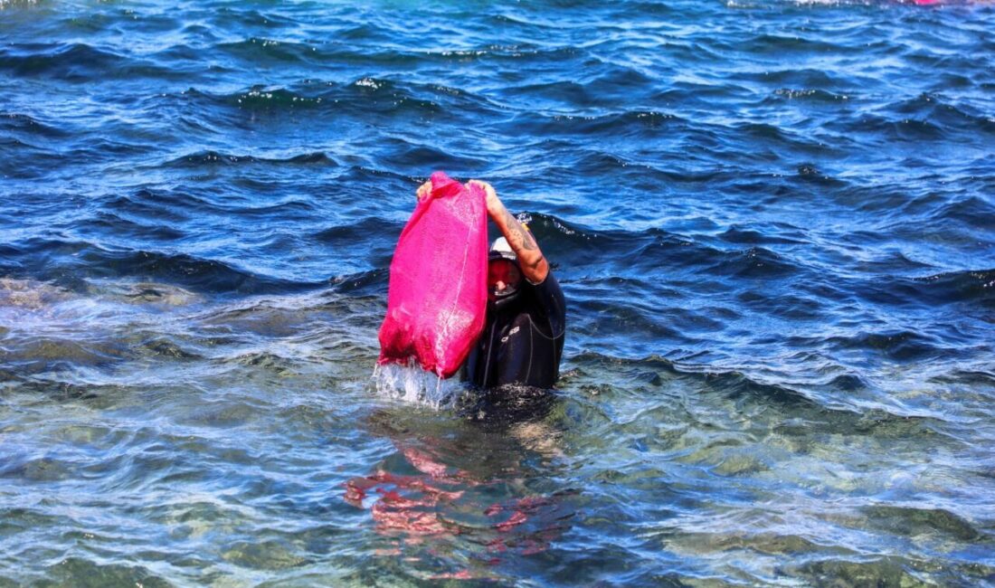 Muğla’nın Bodrum ilçesinde düzenlenen etkinlikte dalgıçlar, deniz dibindeki atıkları çıkardı.