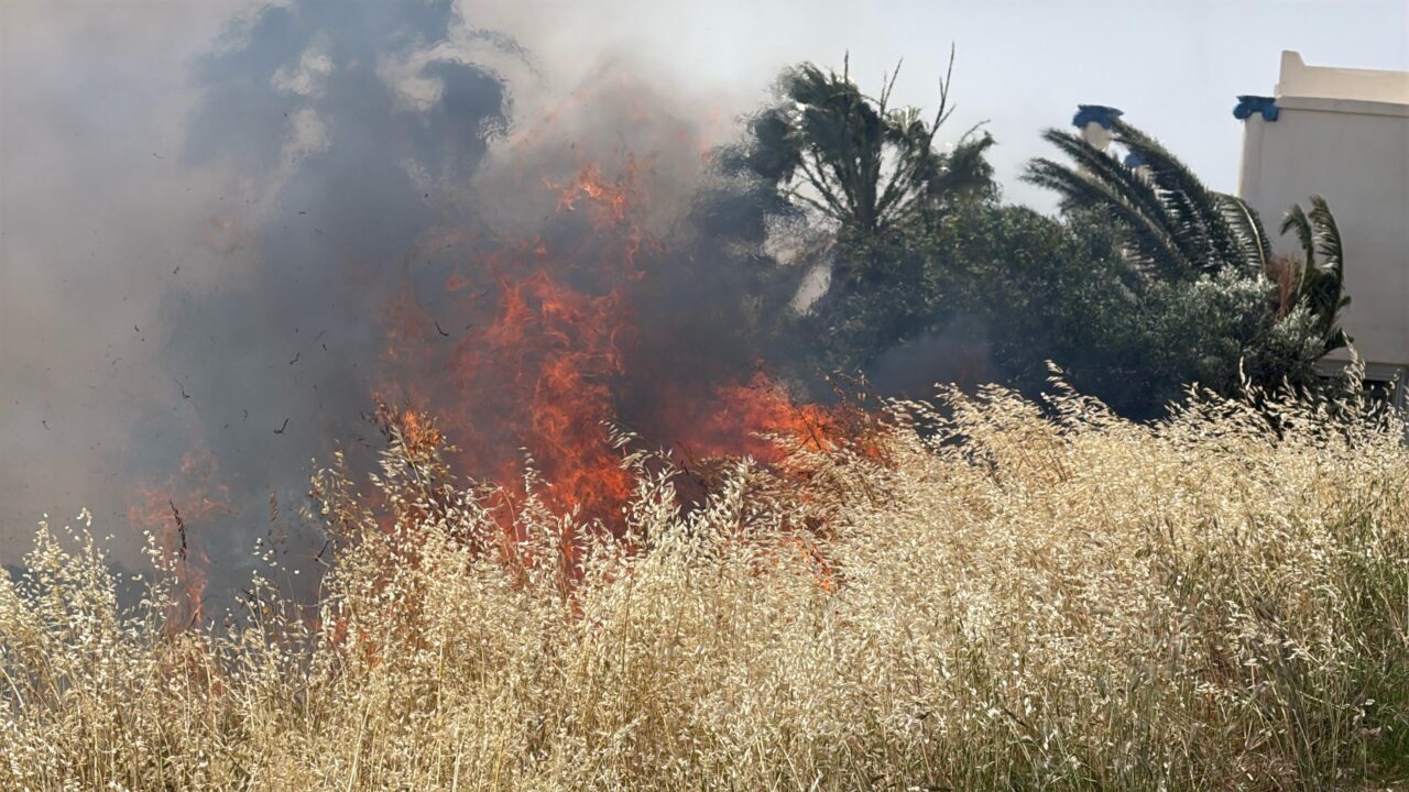 Muğla’nın Bodrum ilçesinde, yerleşim yeri yakınlarında çıkan yangına müdahale ediliyor.