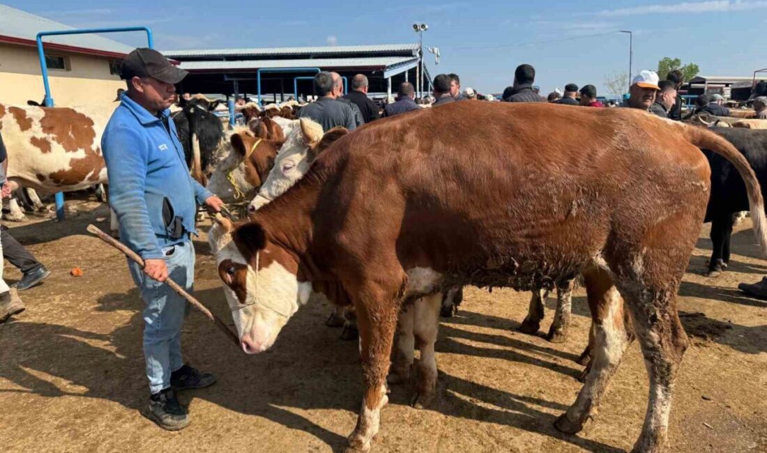 Yaklaşık 3 hafta sonra icra edilecek olan Kurban Bayramı öncesi