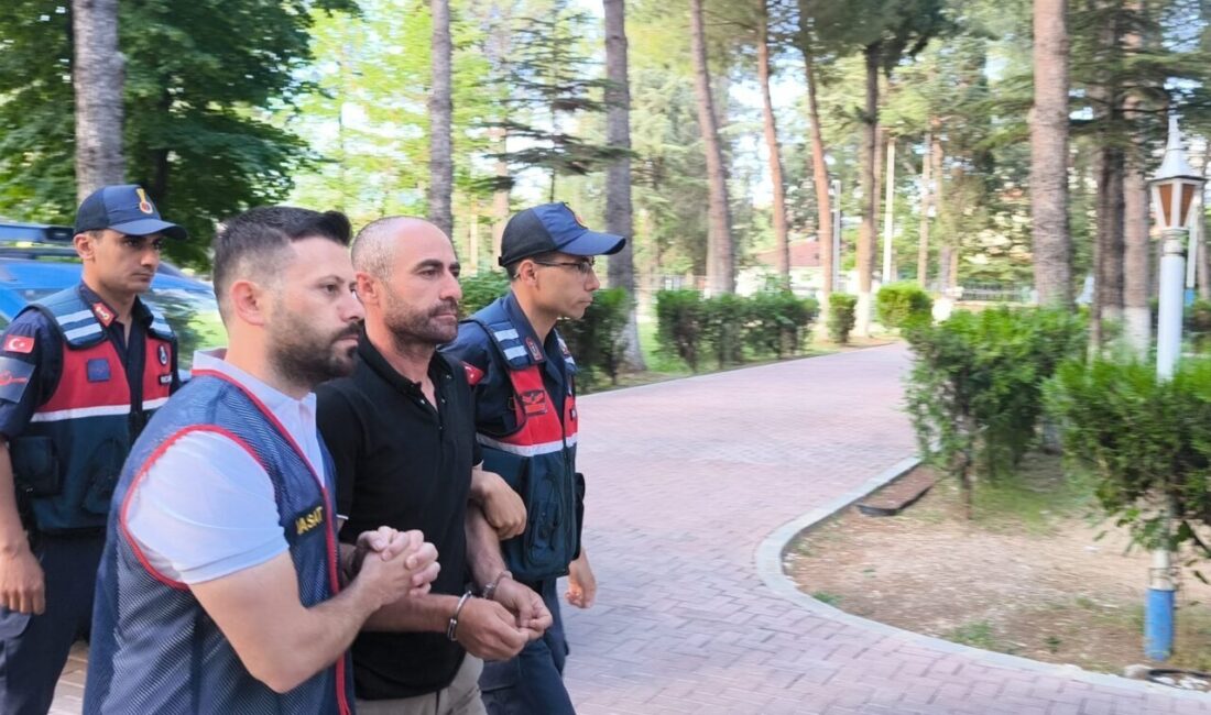 Denizli’nin Tavas ve Pamukkale ilçelerinde 5 adresten 140 kez hırsızlık