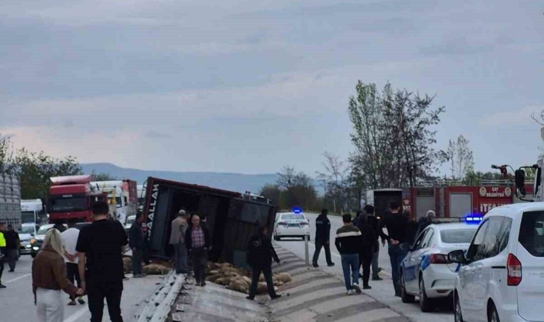 Afyonkarahisar’da kontrolden çıkarak devrilen kamyonda 53 küçükbaş hayvan telef olurken,